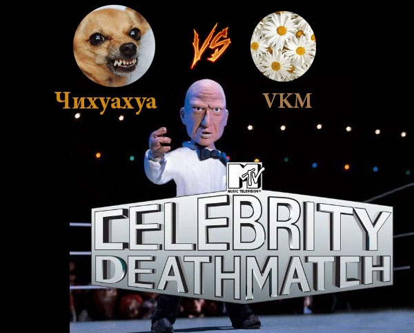 Celebrity deathmatch: Чихуахуа мен VKM тувлессе — қайсысы жеңед?