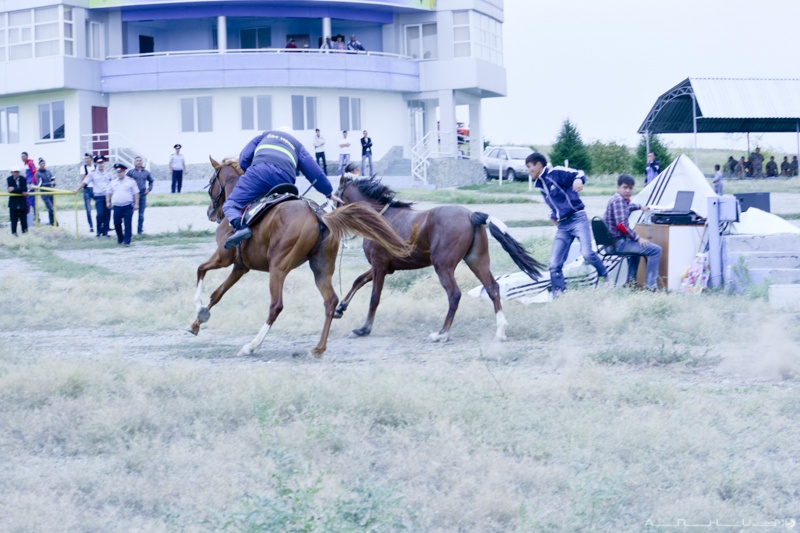 Суреттер сөйлейді: Өткендегі қала әкімінің кубогіне ұлттық ат спорт түрлерінен жарысқа қатысты фотосуреттерім